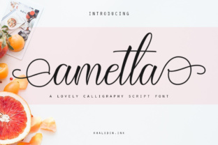 Ametta Script Typeface for Modern Web Design