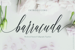 Barracuda Script: The Elegant Handwritten Typeface for Modern Brands