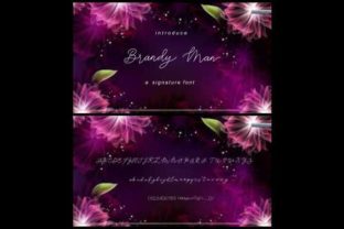 Brandy Jelly Duo: Elegant Script Fonts for Premium Web Design