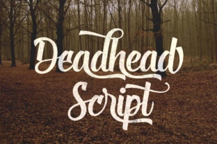 Deadhead Script Typeface Review for Campaign Design