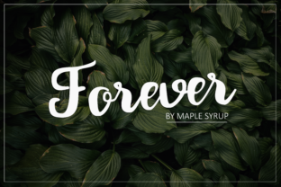Forever Script Typeface for Romantic Brand Identity