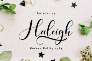 Haleigh Script for Upscale Campaign Design
