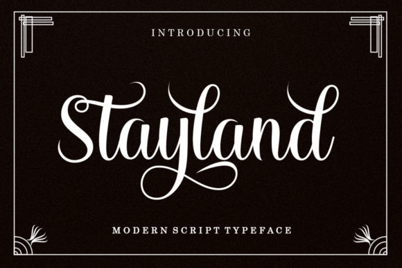 Stayland: The Modern Script Typeface for Striking Campaign Visuals